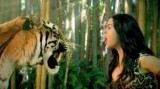 Music Monday: Roar – Katy&nbsp;Perry
